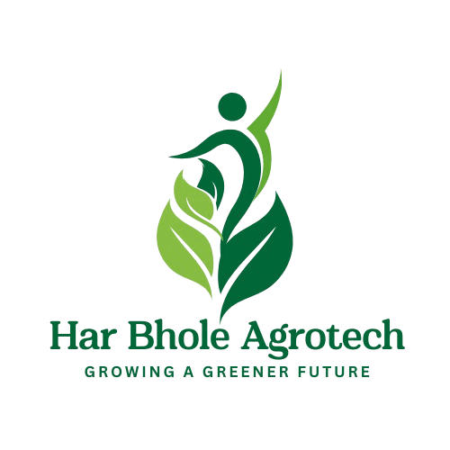 Ahmedabad technology solutions