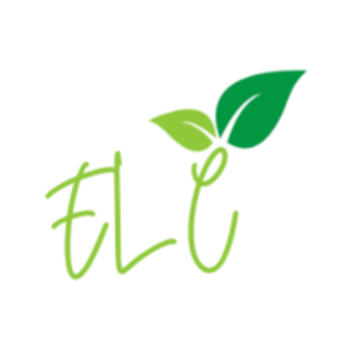 Ahmedabad technology solutions